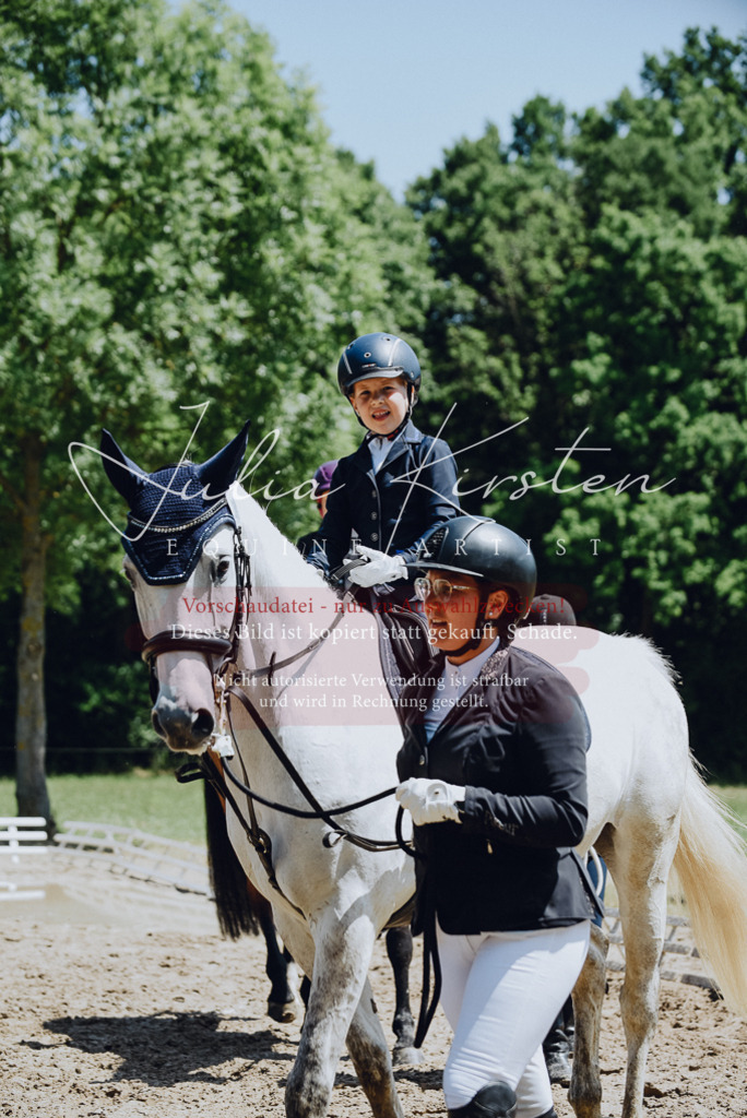 DSC_2110 | Pferde- und Turnierfotografie in Westsachsen. Pferdeportraits, Auftragszeichnungen und intuitive Kunst.