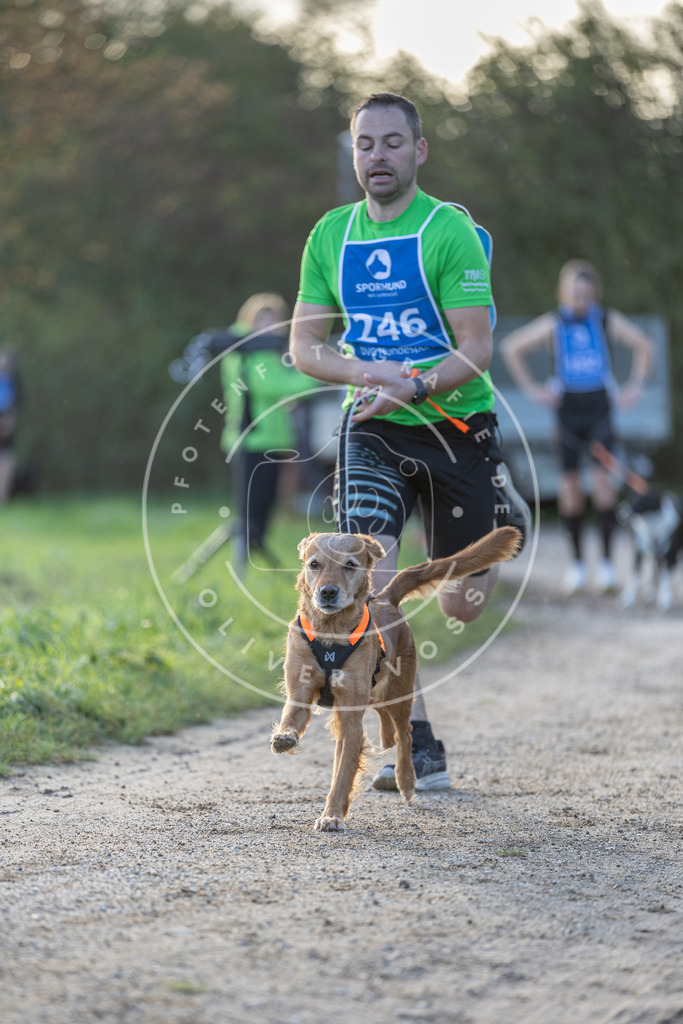 Pfotenfotografie.de_DV3A2723 | Hundefotografie, Tierfotograf, Pfotenfotografie, Fotoshooting Hund, Hunde Portrait, Hundesport, Hundeportraits, Heideshooting, Hunde, Sportfotograf, Hundefotograf, Turnierhundsport, THS, canicross - Realisiert mit Pictrs.com