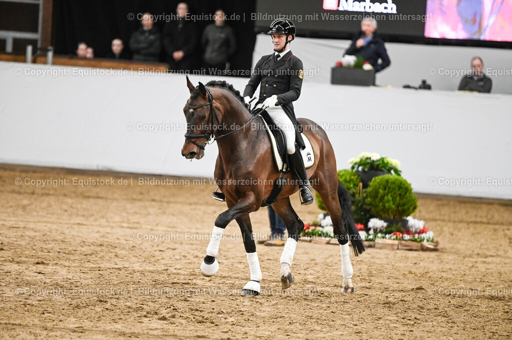 20260307_Hengstvorstellung-Marbach_0355 | equistock