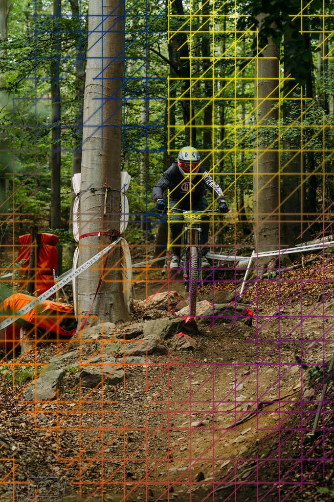 PAE-2067 | Einzigartige Fotokunst für dein Zuhause: Entdecke hochwertige Wandbilder, edle Prints und emotionale Motive von Wildlife, Natur und Landschaften - Realisiert mit Pictrs.com