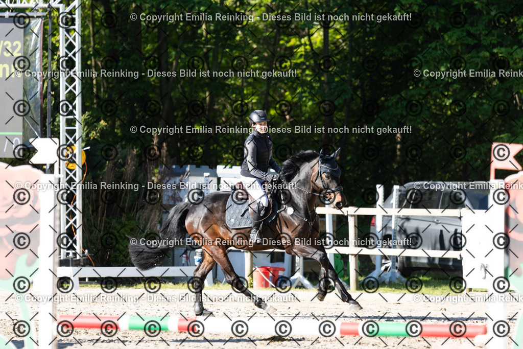CL5A1517 | Emilia Reinking Fotografie - Realisiert mit Pictrs.com