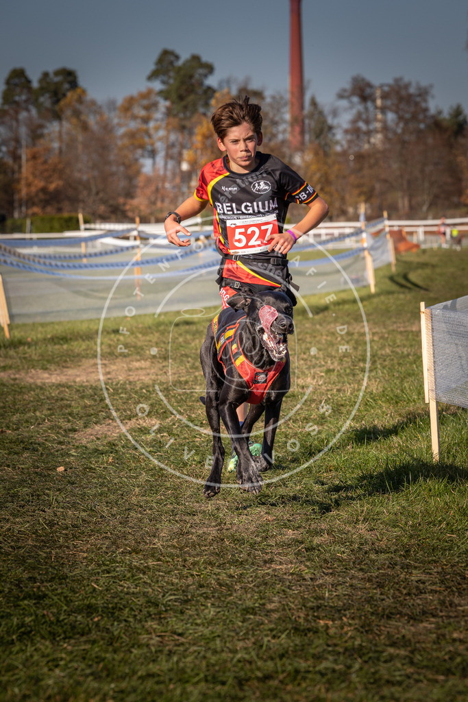 CaniXpix_0L8A7251 | Hundefotografie, Tierfotograf, Pfotenfotografie, Fotoshooting Hund, Hunde Portrait, Hundesport, Hundeportraits, Heideshooting, Hunde, Sportfotograf, Hundefotograf, Turnierhundsport, THS,  - Realisiert mit Pictrs.com