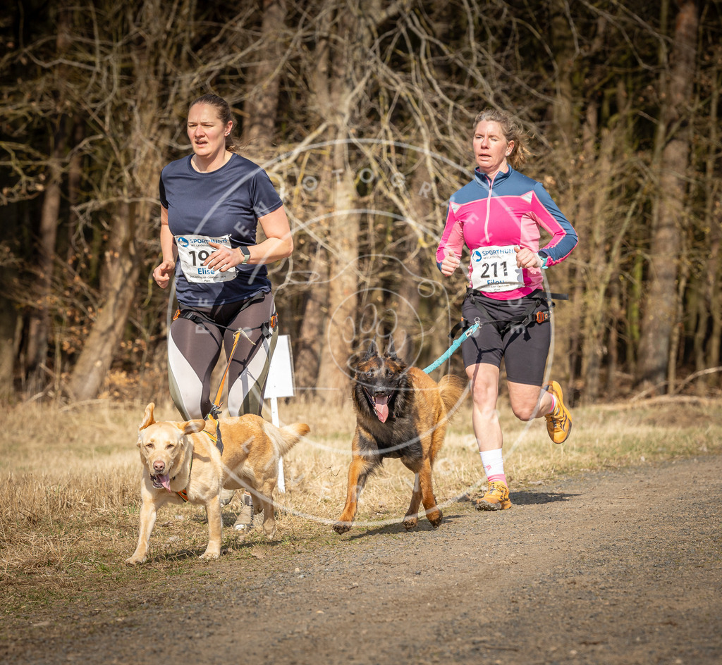 DV3A5787 | Hundefotografie, Tierfotograf, Pfotenfotografie, Fotoshooting Hund, Hunde Portrait, Hundesport, Hundeportraits, Heideshooting, Hunde, Sportfotograf, Hundefotograf, Turnierhundsport, THS,  - Realisiert mit Pictrs.com