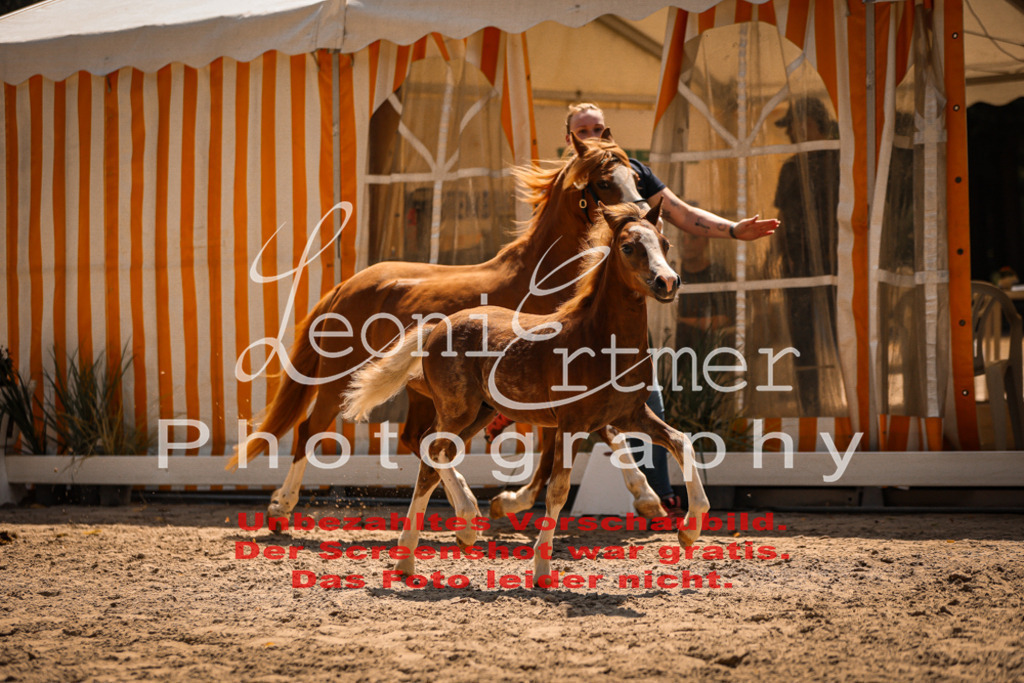 04.DoWP00017 | Leoni Ertmer Photography - Realisiert mit Pictrs.com
