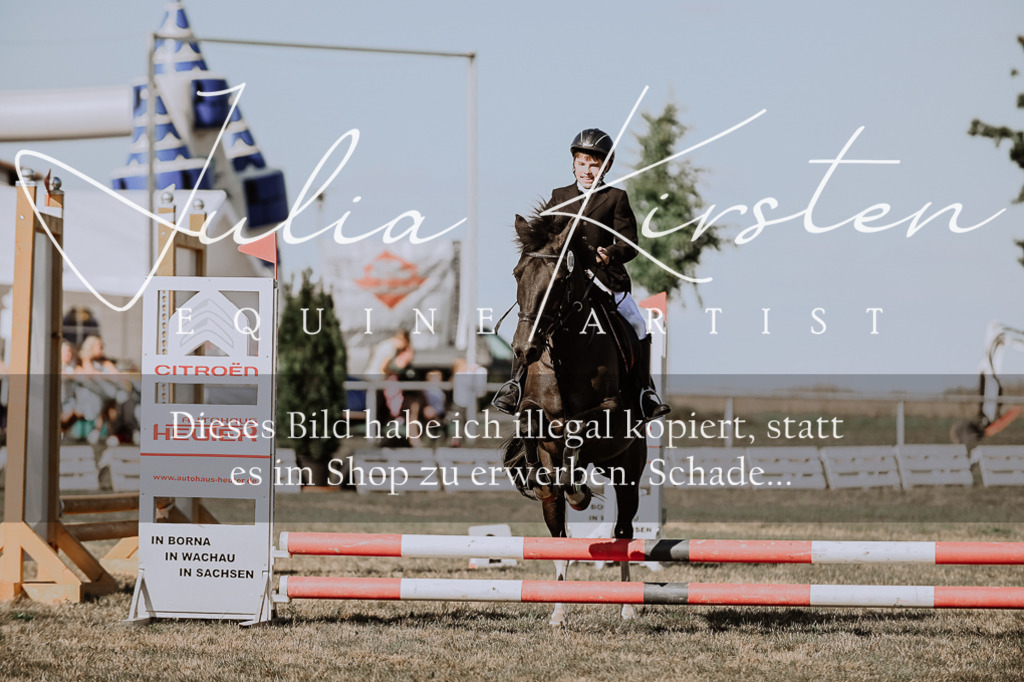 DSC_9469 | Pferde- und Turnierfotografie in Westsachsen. Pferdeportraits, Auftragszeichnungen und intuitive Kunst.