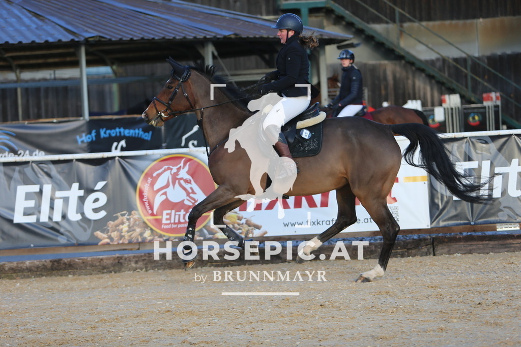 DL2Q7760 | Willkommen bei Brunnmayr - Design & Fotografie – Ihrem Spezialisten für Reitturniere und Pferdeveranstaltungen in Oberösterreich, Salzburg und Bayern! Seit über 17 Jahren sind wir leidenschaftlich dabei.