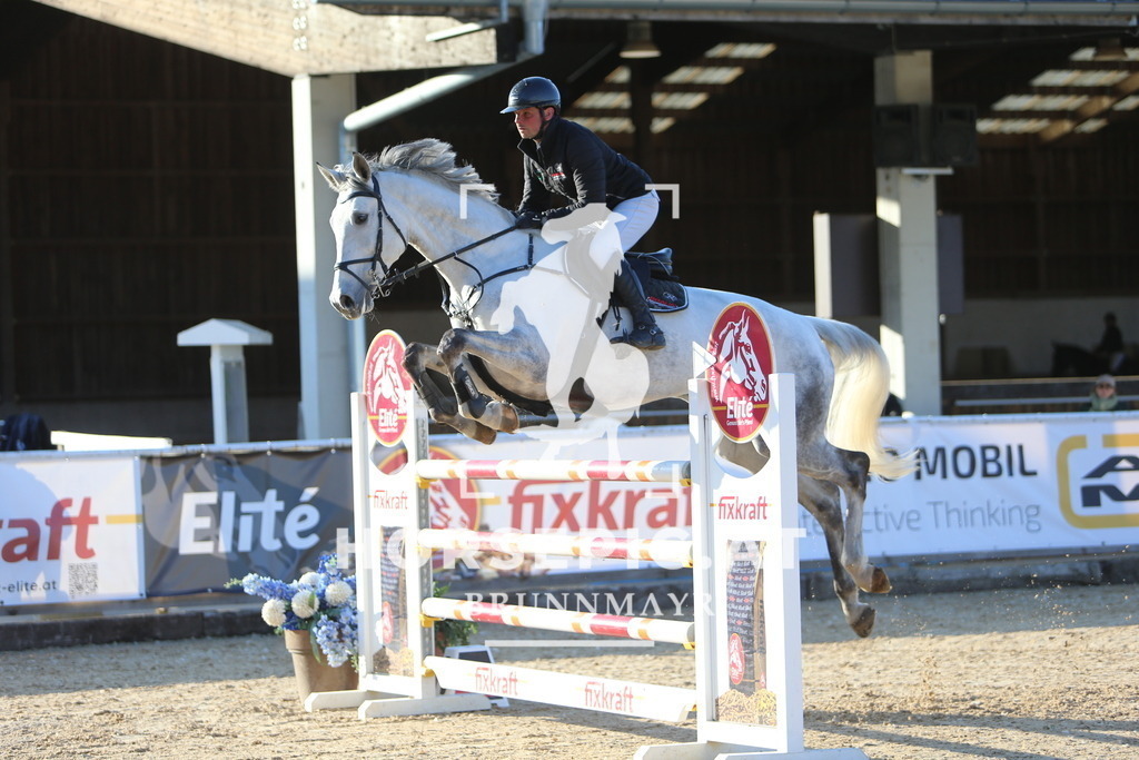 DL2Q1428 | Willkommen bei Brunnmayr - Design & Fotografie – Ihrem Spezialisten für Reitturniere und Pferdeveranstaltungen in Oberösterreich, Salzburg und Bayern! Seit über 17 Jahren sind wir leidenschaftlich dabei.