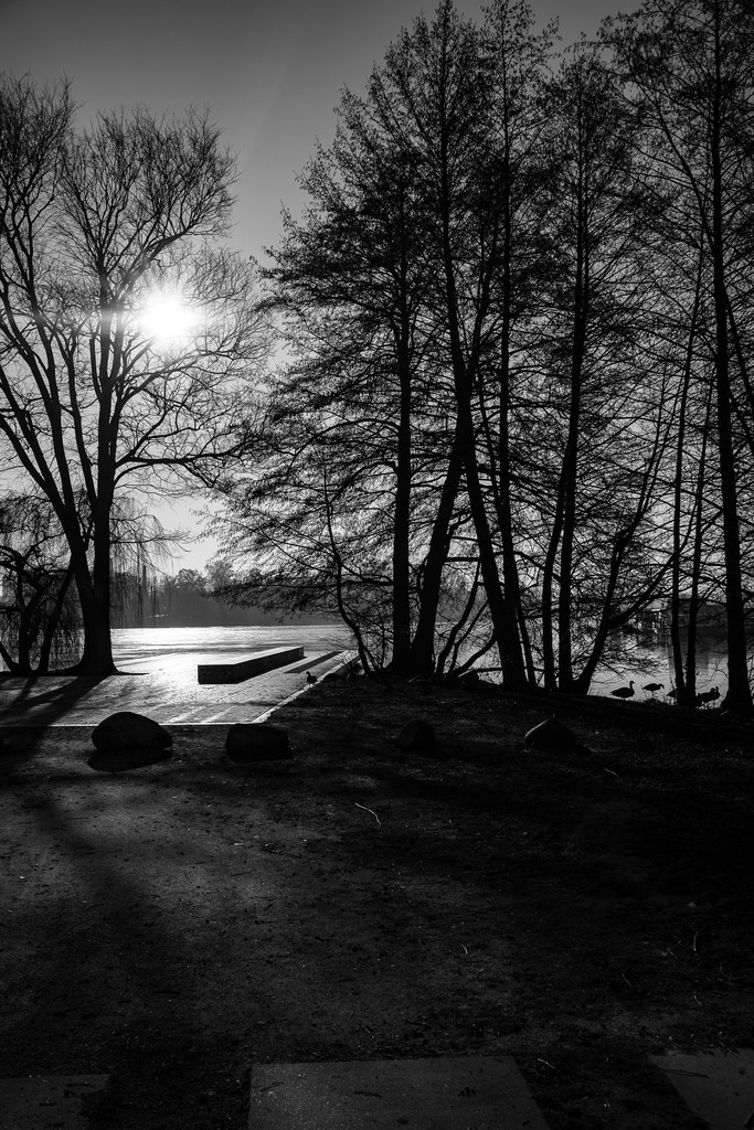 Winterruhe | Steg bei der Seniorenresidenz in der Wasserstadt - Realisiert mit Pictrs.com