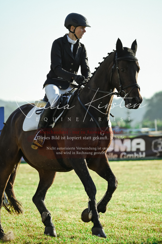 DSC_4184 | Pferde- und Turnierfotografie in Westsachsen. Pferdeportraits, Auftragszeichnungen und intuitive Kunst.