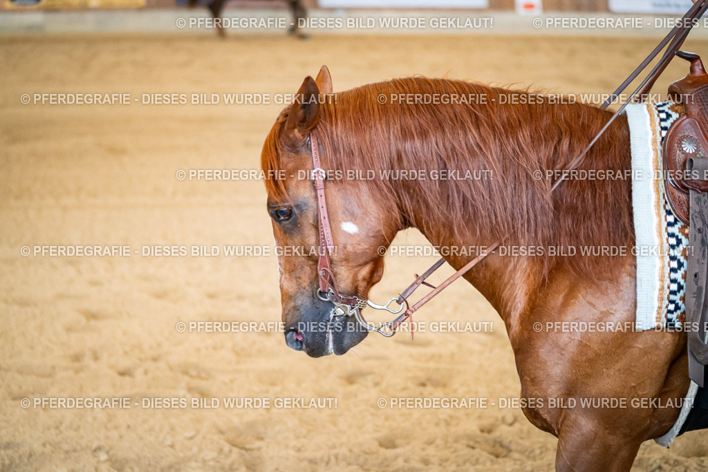 DSC09249 | Pferdegrafie