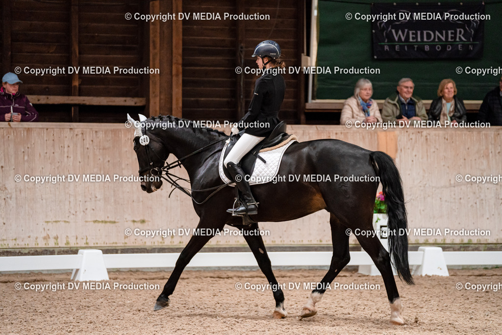 Dressur Tag 2-424 | dv-media-shop - Realisiert mit Pictrs.com