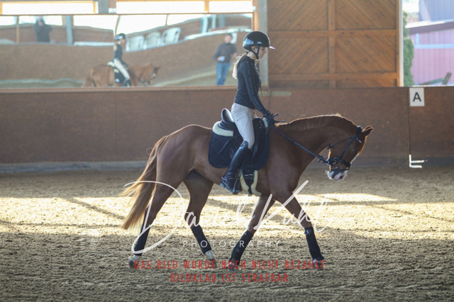 DKP42141 | Turniersportfotografie; Pferdefotografie; Dressurfotografie