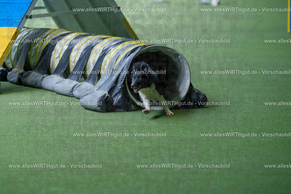 @allesWIRTHgut_Tierfotografie - www.allesWIRTHgut.de - 2604251230-7R501990 | Professionelle Tierfotografie in Mönchengladbach von Daniel Wirth (allesWIRTHgut). Liebevolle & natürliche Bilder von Hunden & Katzen für unvergessliche Erinnerungen.