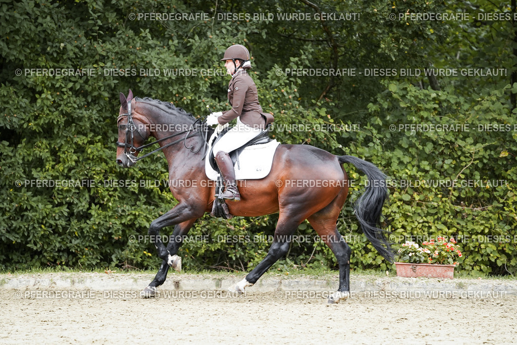 DSC01041 | Pferdegrafie