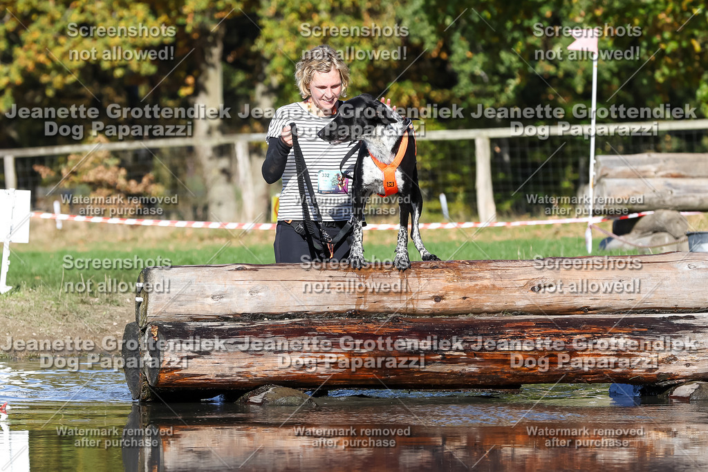 Dog Paparazzi - Strongdog 10-25-8970 | Dog Paparazzi Jeanette Grottendiek Fotografie & Videografie - Realisiert mit Pictrs.com