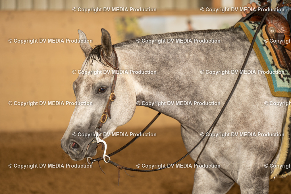 LAU00224 | dv-media-shop - Realisiert mit Pictrs.com