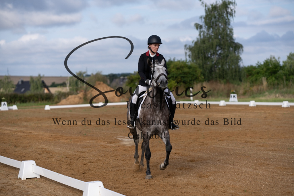A7V03743 | Turnier/Reitfotograf