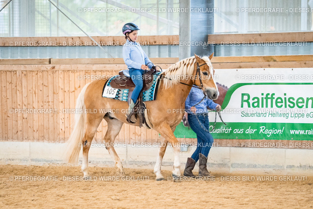 DSC00928 | Pferdegrafie