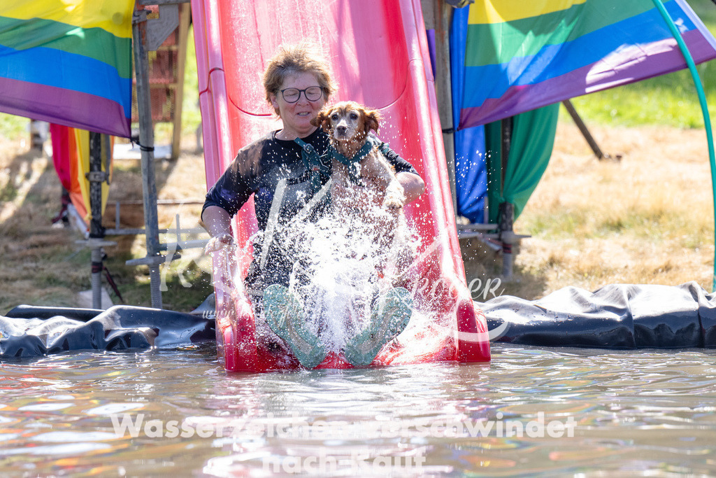 1401_ZZ92781 | kk-dogfotos