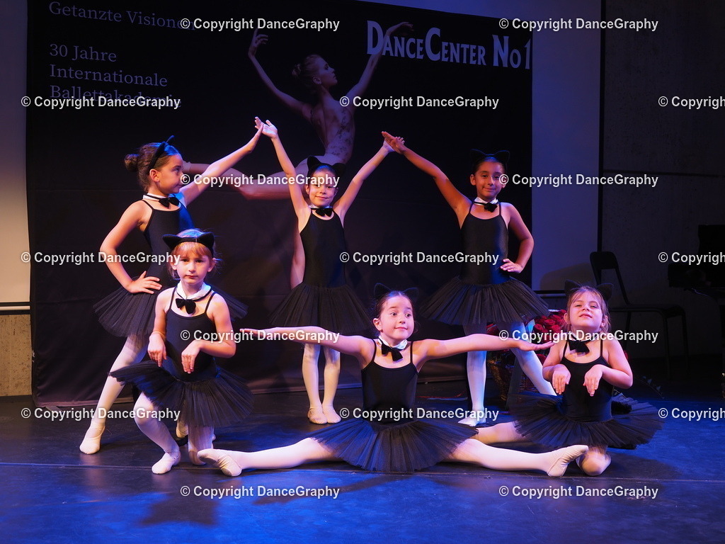 P7261553 | DanceGraphy - Realisiert mit Pictrs.com