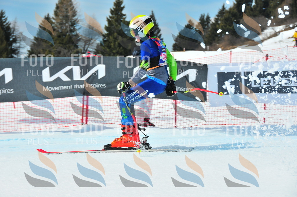 DSC_7077 | holidayphoto