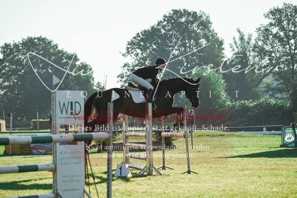 DSC_4174 | Pferde- und Turnierfotografie in Westsachsen. Pferdeportraits, Auftragszeichnungen und intuitive Kunst.