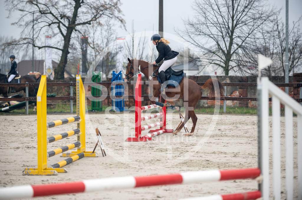 DSC_8660 | sattelsport - Realisiert mit Pictrs.com