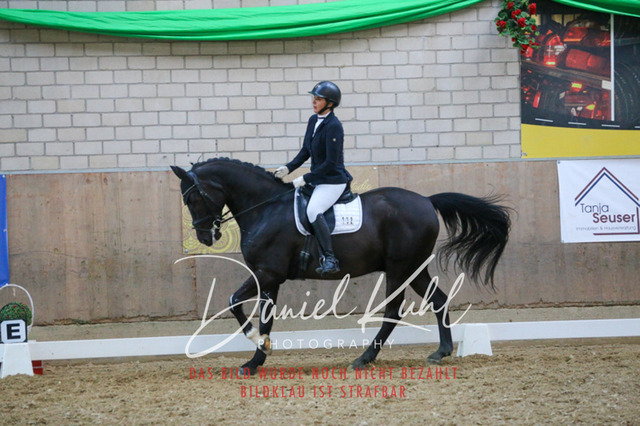 IMG_2659 | Turnierfotos kaufen im Webshop von Daniel Kuhl Photography – entdecke professionelle Reitsportfotos aus Turnieren & Events. Hochwertige Turnierbilder online bestellen & sichern. Jetzt Fotos von Reitsportturnieren kaufen!