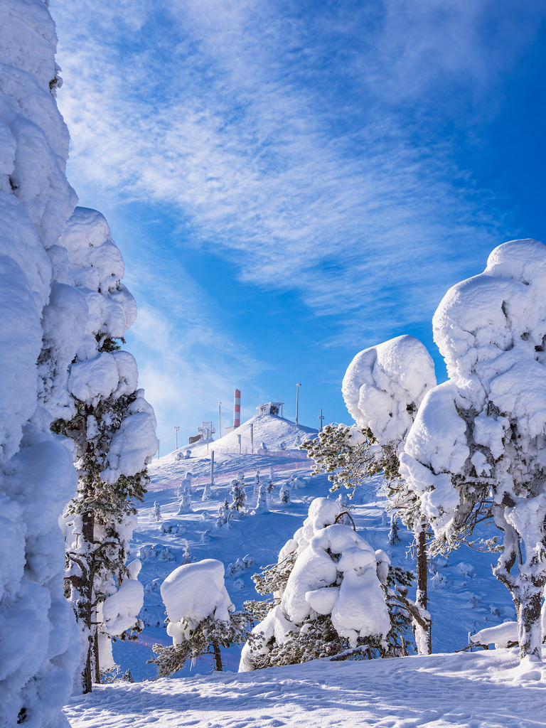 Landschaft mit Schnee im Winter in Ruka, Finnland | Landschaft mit Schnee im Winter in Ruka, Finnland.