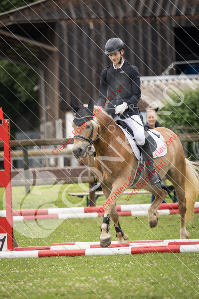 IMG_2391 | Sport-, Event- und Tierfotos in Profiqualität. Einfach auswählen, bestellen und herunterladen. Dein Moment – perfekt festgehalten.