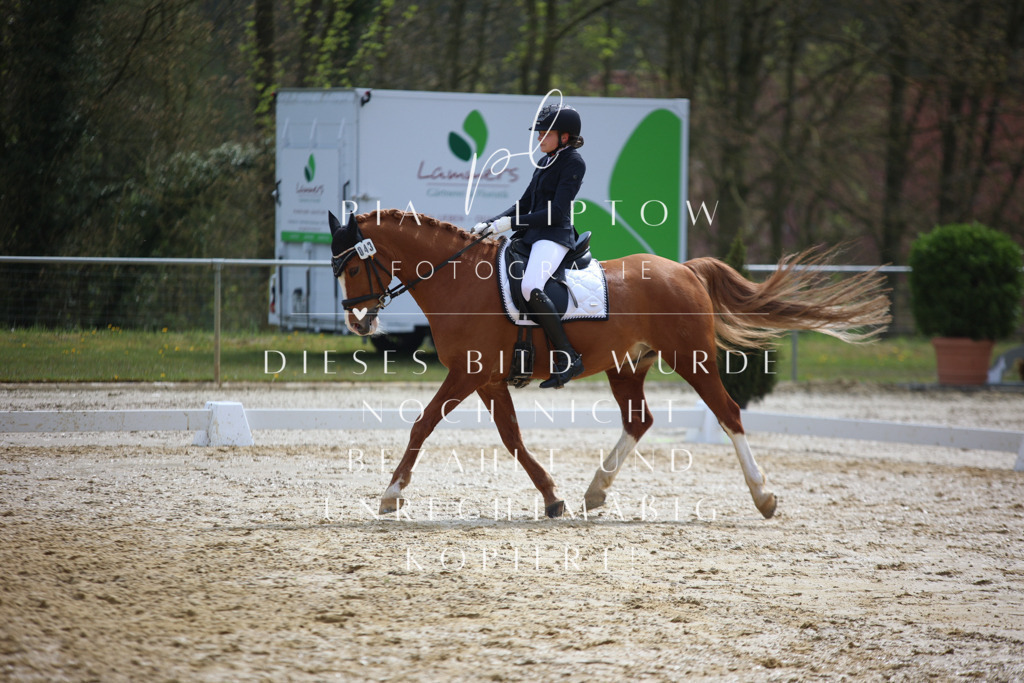 IMGT4158 | pl-fotografie