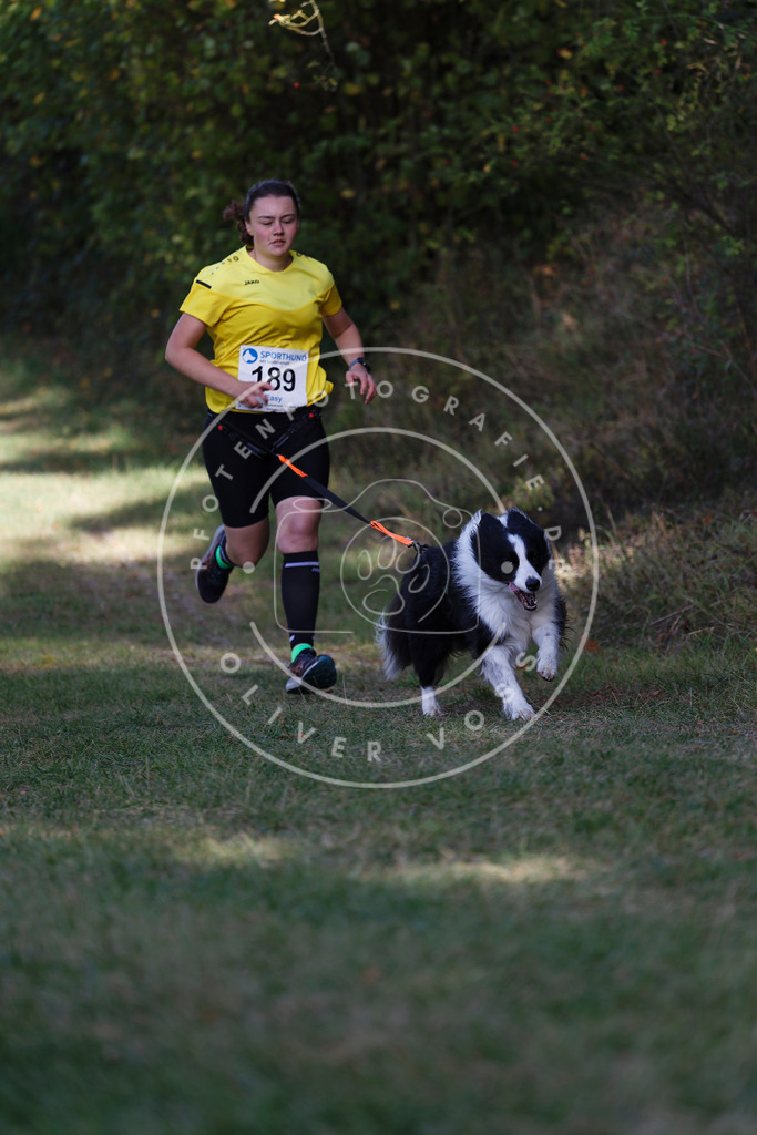 0L8A5694 | Hundefotografie, Tierfotograf, Pfotenfotografie, Fotoshooting Hund, Hunde Portrait, Hundesport, Hundeportraits, Heideshooting, Hunde, Sportfotograf, Hundefotograf, Turnierhundsport, THS,  - Realisiert mit Pictrs.com