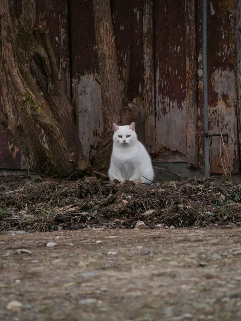 PSX_20230116_225007 | OLYMPUS DIGITAL CAMERA - Realisiert mit Pictrs.com