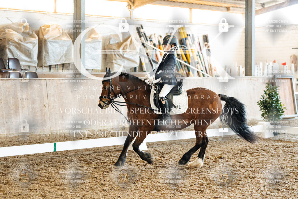 CK900511 | Turnierfotografie Pferdefotografie Trier Rheinland-Pfalz Pferdesport Reitsport Tierfotografie Sportfotografie Pferdevideo Pferdevideografie Equestrianvideography equestrianphotography  - Realisiert mit Pictrs.com