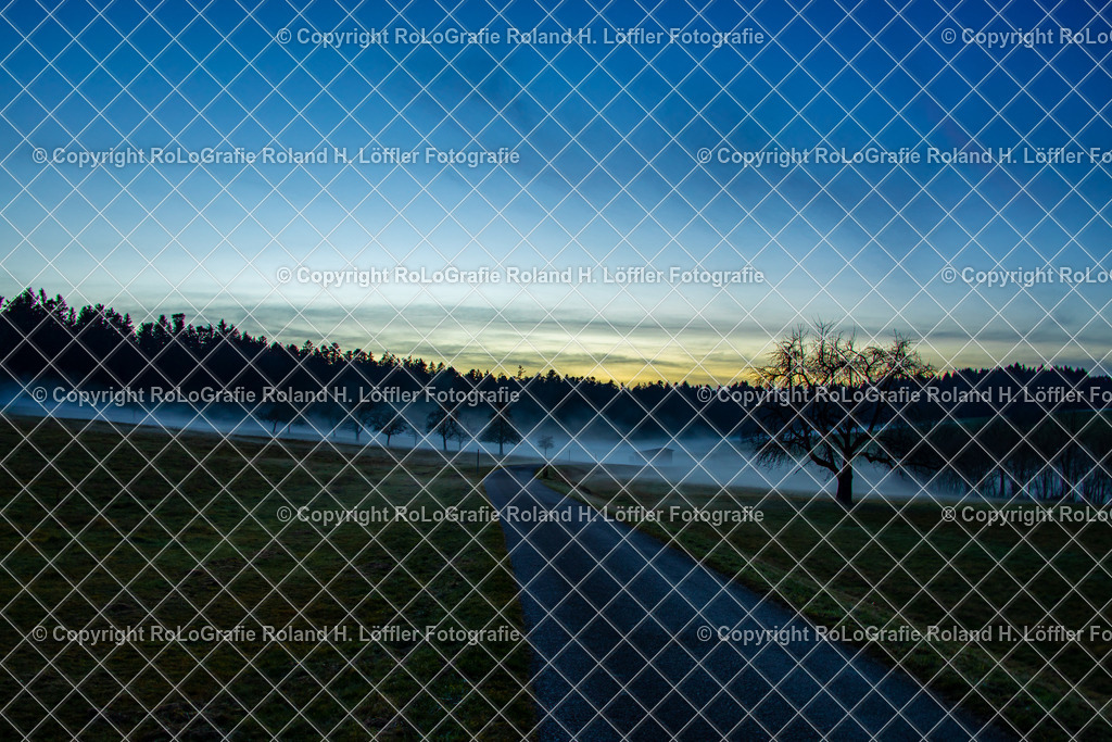 Nebellandschaft_02 | Abendnebel auf den Wiesen - Realisiert mit Pictrs.com