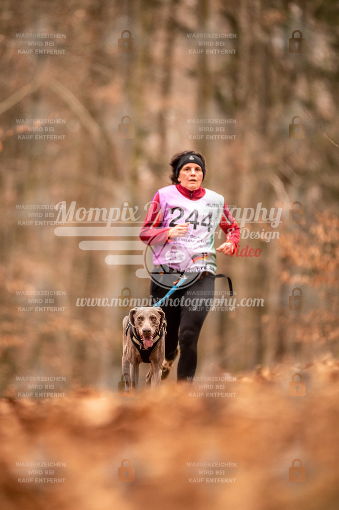 AKM_ST_2023_Son_Run-120 | PayLife