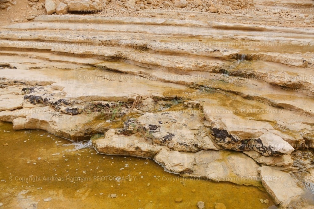 Bachlauf Avdatschlucht in der Wüste Negev | Bachlauf Avdatschlucht in der Wüste Negev - Realisiert mit Pictrs.com
