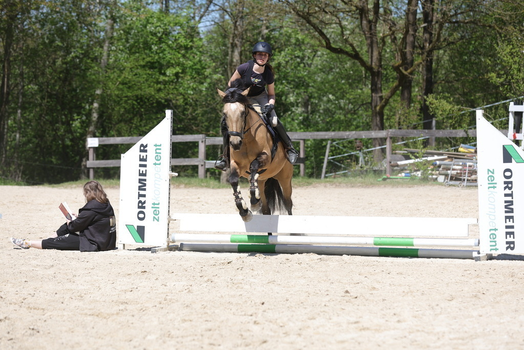 0P6A8821 | Willkommen bei Brunnmayr - Design & Fotografie – Ihrem Spezialisten für Reitturniere und Pferdeveranstaltungen in Oberösterreich, Salzburg und Bayern! Seit über 17 Jahren sind wir leidenschaftlich dabei.