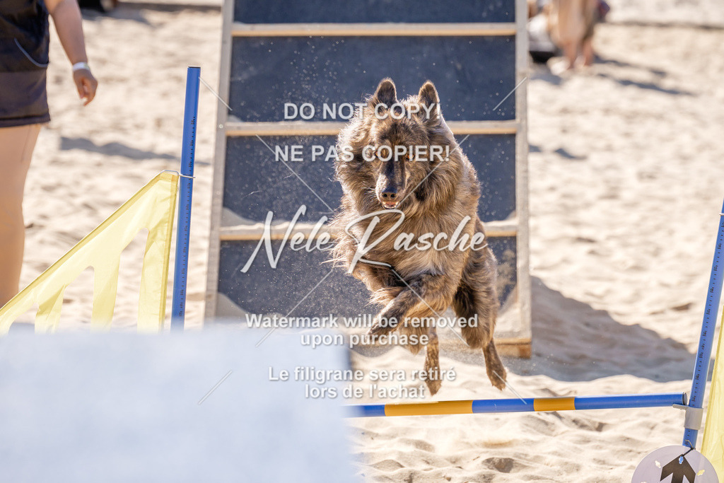 NR__0525 | nelerasche