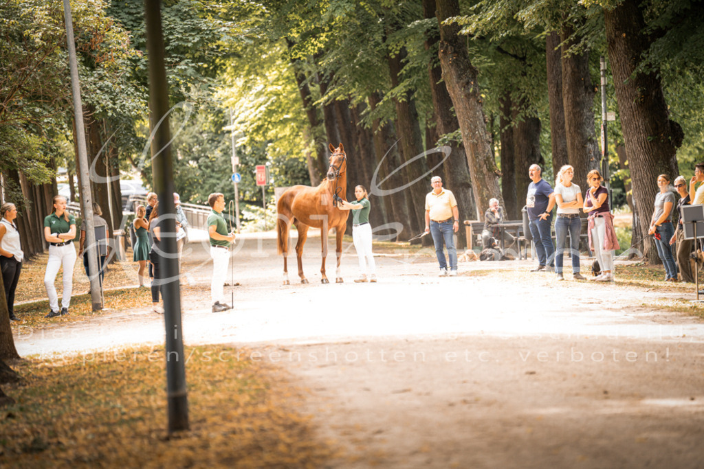 FrPfM00103 | Leoni Ertmer Photography - Realisiert mit Pictrs.com