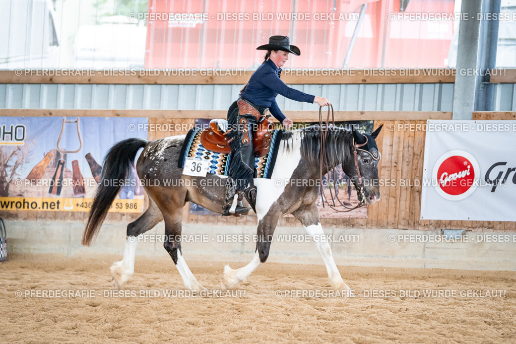 DSC02815 | Pferdegrafie