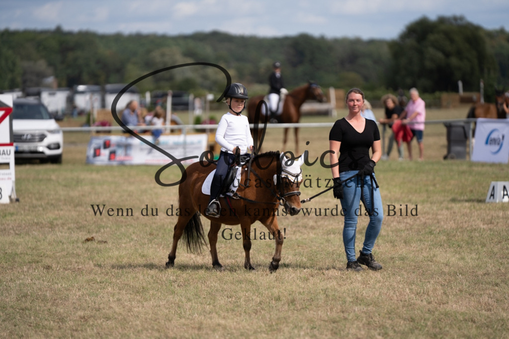 A7V08928 | Turnier/Reitfotograf