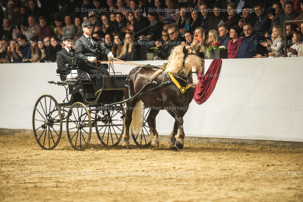 20240302_Hengstvorstellung_Marbach_TOMsPiC_0666-2 | equistock