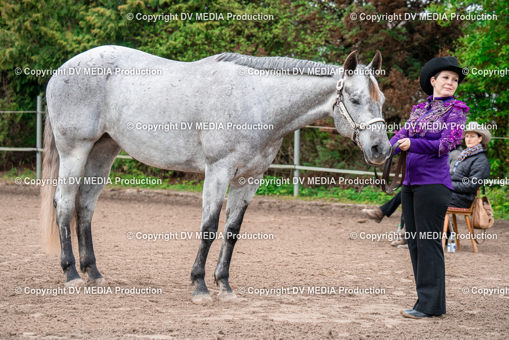 BA300090 | dv-media-shop - Realisiert mit Pictrs.com