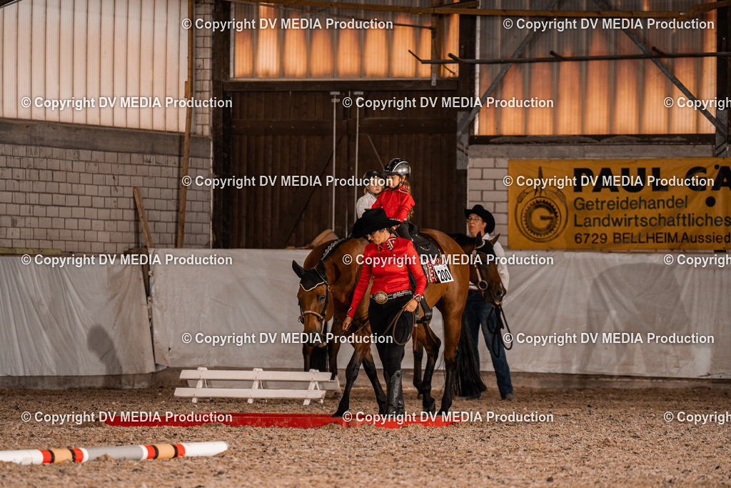 ZH300204 | dv-media-shop - Realisiert mit Pictrs.com