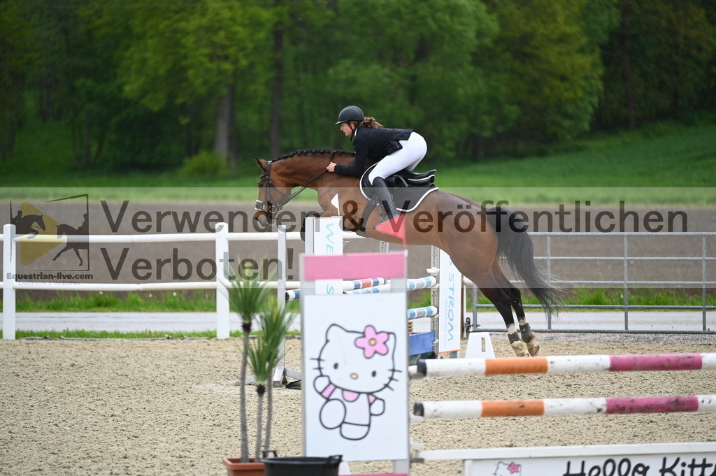 DSC_0045 | equestrian-live-com