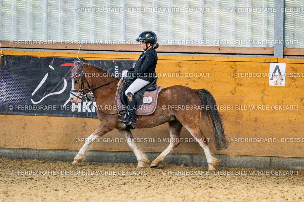 DSC03018 | Pferdegrafie