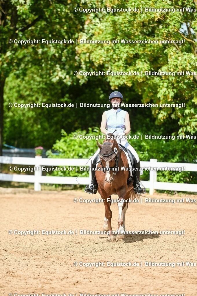20230716_01_Dressurprüfung Kl.M_0252 | equistock