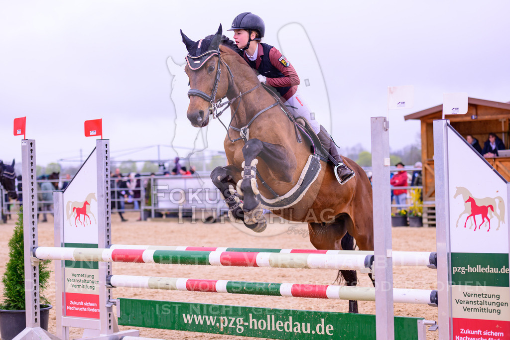 12042026-Mammendorf-Prfg38-0693 | Fokus Hufschlag Fotografie - Realisiert mit Pictrs.com