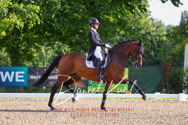 DKP41563 | Turnierfotos kaufen im Webshop von Daniel Kuhl Photography – entdecke professionelle Reitsportfotos aus Turnieren & Events. Hochwertige Turnierbilder online bestellen & sichern. Jetzt Fotos von Reitsportturnieren kaufen!